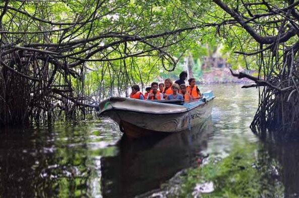 Madhu river